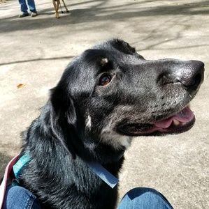 Meet your Posher, Brenda